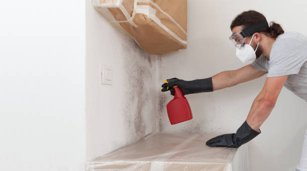 Professional Black Mold Remediation technician working in Pentwater, MI